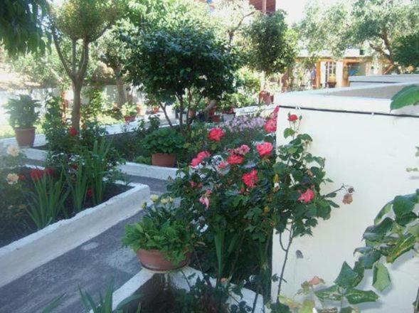 Villa Irida Σάρτη Εξωτερικό φωτογραφία